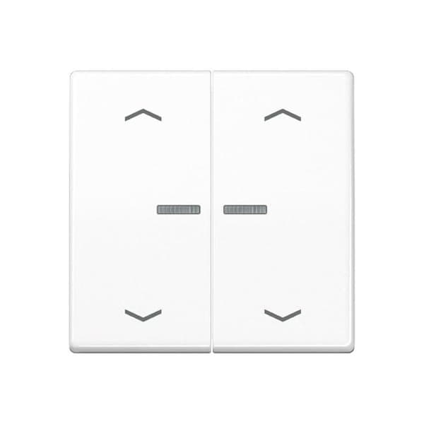 Jung HOME-knapp 2-faldig BTA17102PWW med pilsymboler 1 (BTA17102PWW)