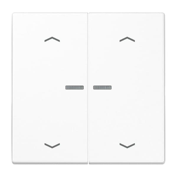 Jung HOME-knap 2-fold BTLS17102PWW med pilesymboler 1 (BTLS17102PWW)