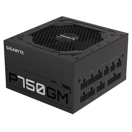 Gigabyte P750GM strømforsyningsenhed 750 W 20+4 pin ATX ATX Sort