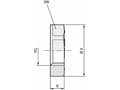 Miniatyrbild 2 av 3: LAPP 52000190 SKINDICHT GMK PG 42 RAL 7035 LGY Låsemøtrik PG42 Polystyrol (EPS) Gråhvid (RAL 7035) 25 stk
