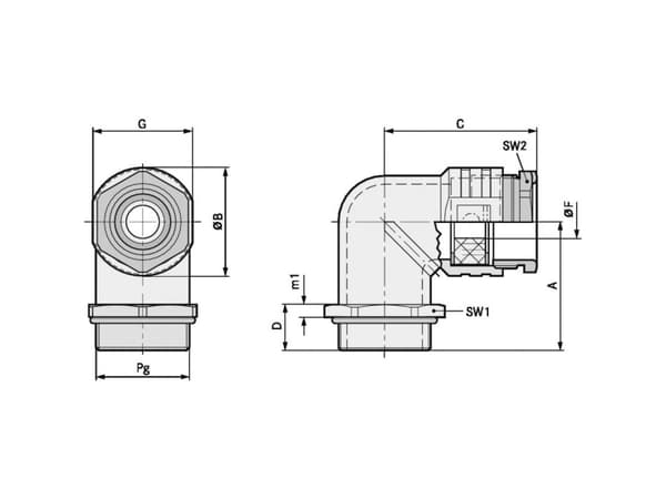 LAPP SKINDICHT® RWV PG 29 52004225 Vinkelforskruning PG29 Trykstøbning Natur 10 stk