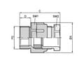 Pikkukuva 3 / 5: LAPP SKINDICHT® SVFK PG 42 Kabelforskruning PG42 Polystyrol (EPS) Gråhvid (RAL 7035) 5 stk