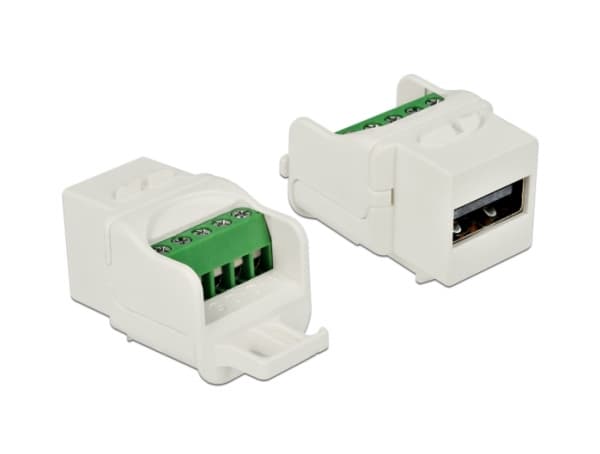 Delock - Modulär insättning - USB 2.0 Type A - vit