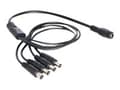 Pikkukuva 1 / 5: Delock - Strøm-splitter - DC jackstik 5,5 x 2,1 mm (han) til DC jackstik 5,5 x 2,1 mm (hun) - 50 cm