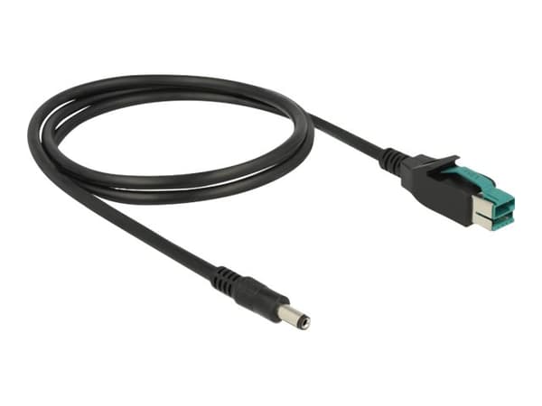 Delock - Strømforsynt USB-kabel - USB PlusPower (12 V) (hann) til DC-jakk på 2,1/5,5 mm (hann) - 12 V - 1 m - svart