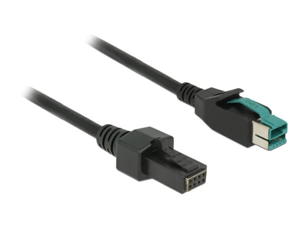 Delock - Strømforsynt USB-kabel - USB PlusPower (12 V) (hann) til 8-stifts (2x4) PoweredUSB Remote Side (hann) - 12 V - 2 m - svart