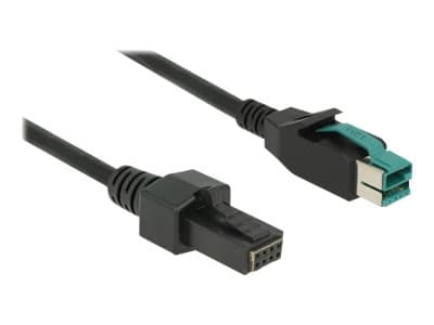 Delock - Strømforsynt USB-kabel - USB PlusPower (12 V) (hann) til 8-stifts (2x4) PoweredUSB Remote Side (hann) - 12 V - 2 m - svart