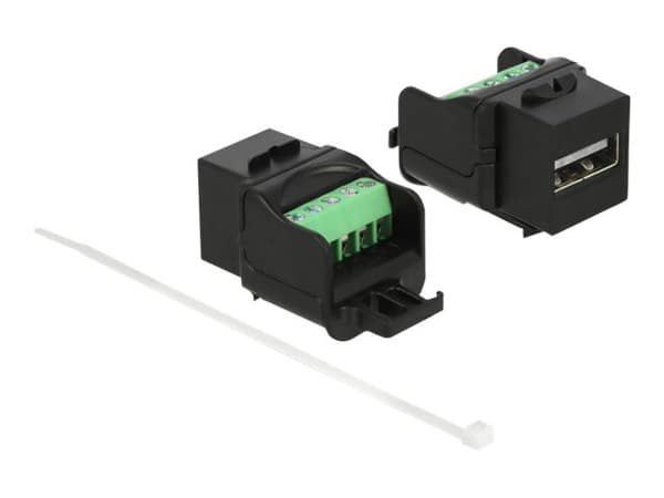 Delock - Modulinnlegg - USB 2.0 Type A - svart