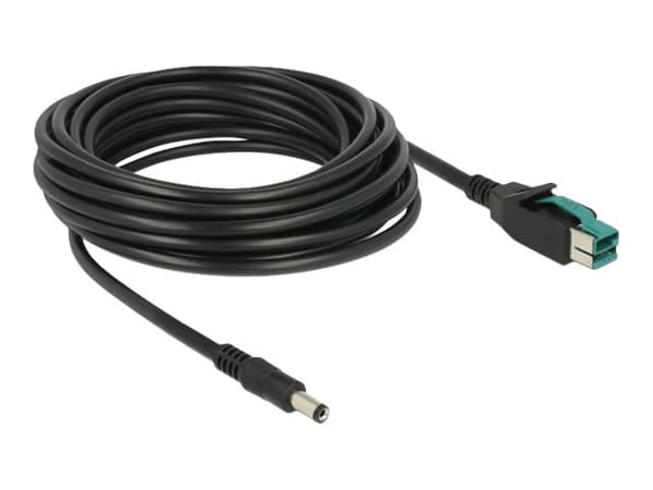 Delock - Strømforsynt USB-kabel - USB PlusPower (12 V) (hann) til DC-jakk på 2,1/5,5 mm (hann) - 12 V - 5 m - svart