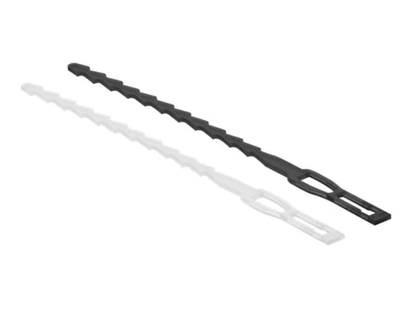 Delock - Cable ties kit - lynformet med festeøye - svart, gjennomsiktig