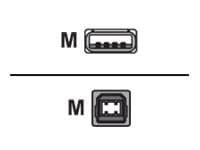 Lenovo - USB-kabel - USB typ B (hane) till USB (hane) - FRU, CRU - Tier 2 - för ThinkCentre M92 (liten); M92p (liten)