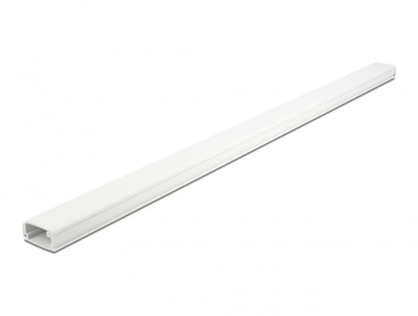 Delock - Cable duct with cover - 1 m - vit