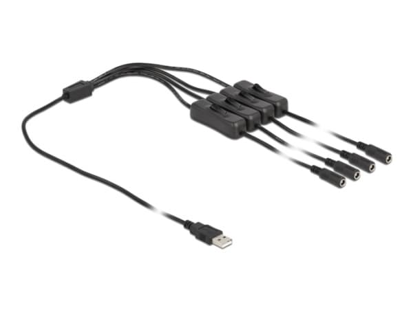 Delock - Strömdelare - USB (hane) till DC-jack 5,5 x 2,1 mm (hona) - 1 m - svart