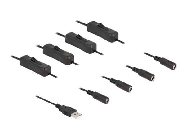 Delock - Strömdelare - USB (hane) till DC-jack 5,5 x 2,1 mm (hona) - 1 m - svart