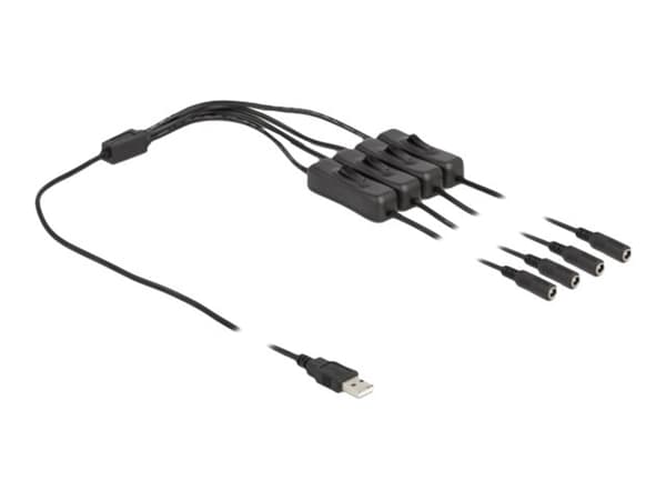 Delock - Strömdelare - USB (hane) till DC-jack 5,5 x 2,1 mm (hona) - 1 m - svart