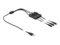 Pikkukuva 2 / 4: DeLOCK 86798, 1 m, USB A