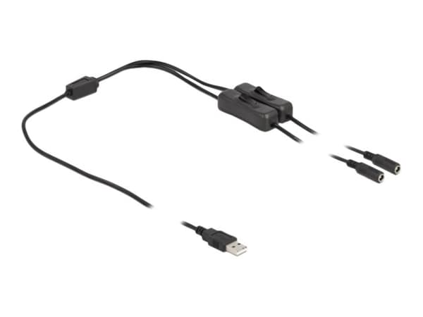 Delock - Strømsplitter - USB (hann) til 5,5 x 2,1 mm DC-jakk (hunn) - 1 m - svart