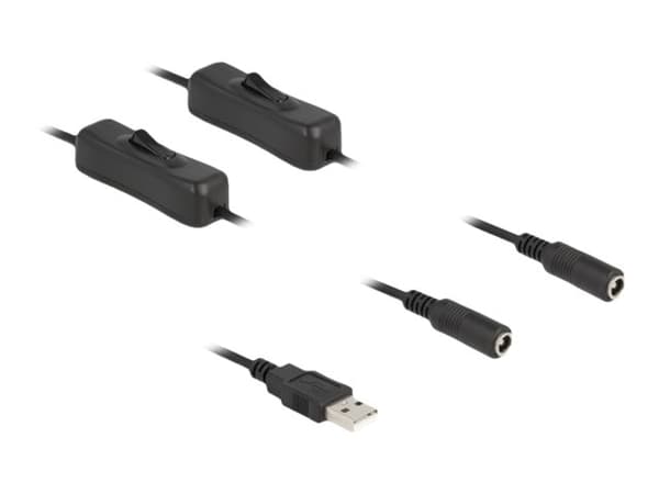 Delock - Strømsplitter - USB (hann) til 5,5 x 2,1 mm DC-jakk (hunn) - 1 m - svart
