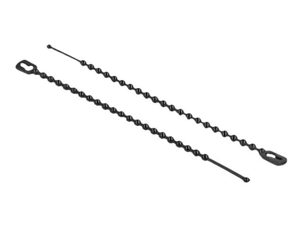 DeLOCK 19566, Helmipintainen johdinside, Polyamidi, Musta, 2,5 cm, 10 cm, 2,4 mm
