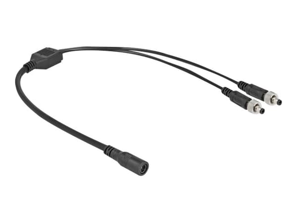 Delock - Strøm-splitter - DC jackstik 5,5 x 2,1 mm (hun) til DC jackstik 5,5 x 2,1 mm (han) kan skrues - 30 V - 5 A - 50 cm - lajittelu