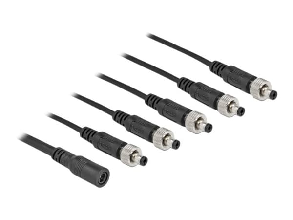 Delock - Strøm-splitter - DC jackstik 5,5 x 2,1 mm (hun) til DC jackstik 5,5 x 2,1 mm (han) kan skrues - 30 V - 2 A - 50 cm - lajittelu