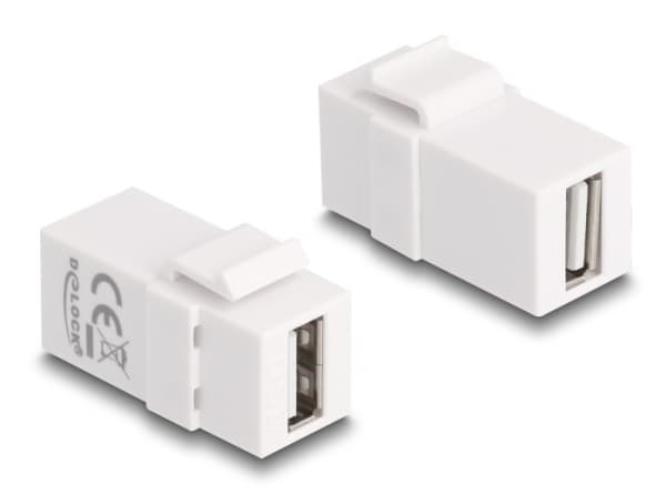 DeLOCK - Modulaarinen sisuskalvo - USB 2.0 tyyppi A - valkoinen