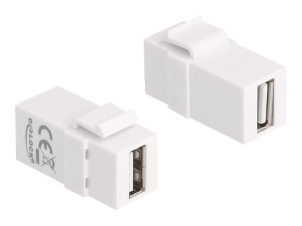 DeLOCK - Modulaarinen sisuskalvo - USB 2.0 tyyppi A - valkoinen
