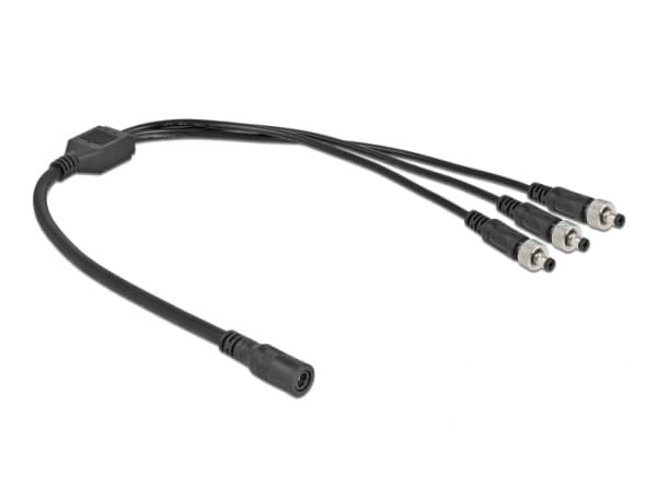 Delock - Strömdelare - DC-jack 5,5 x 2,1 mm (hona) till DC-jack 5,5 x 2,1 mm (hane) - 30 V - 2 A - 50 cm - svart