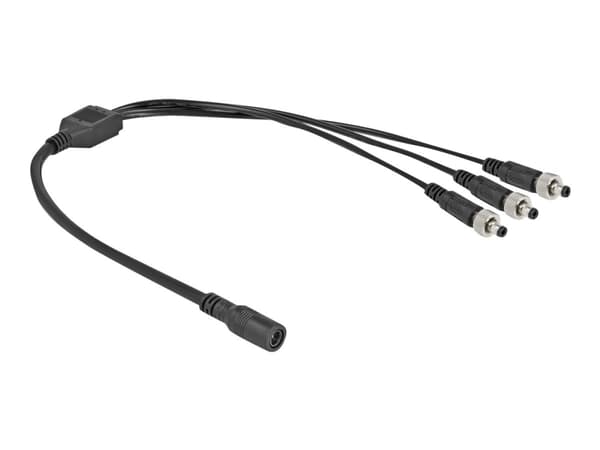 Delock - Strömdelare - DC-jack 5,5 x 2,1 mm (hona) till DC-jack 5,5 x 2,1 mm (hane) - 30 V - 2 A - 50 cm - svart