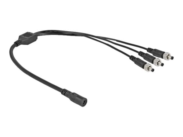 Delock - Strömdelare - DC-jack 5,5 x 2,1 mm (hona) till DC-jack 5,5 x 2,1 mm (hane) - 30 V - 2 A - 50 cm - svart