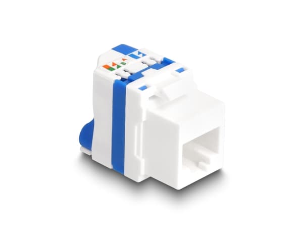 Delock - Keystone module - RJ-45 (hona) till LSA (hona) - UTP - CAT 6a - snap-in - vit, blå