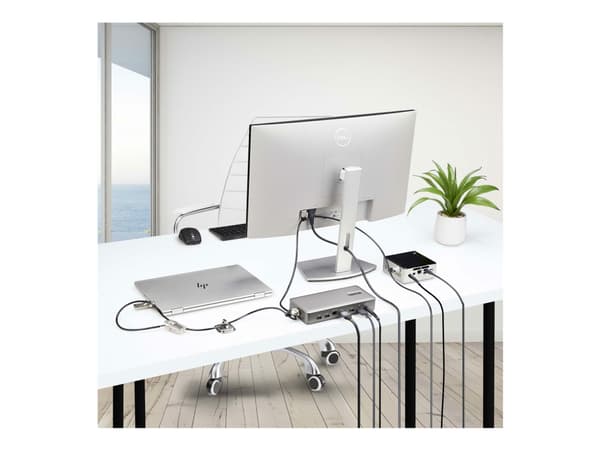 StarTech.com Laptop/Desktop & Peripheral Lock Kit, 9.8ft (3m) Cable - Arbetsstationslåsning kit - stöldförebyggande - svart & silver - 3 m - TAA-komp