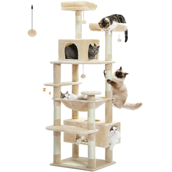 Multi-Level Katte træ, Rummelig Hængekøje, Holdbar Trækonstruktion,AMT0204BG, XL