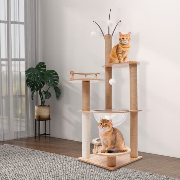 Kattklätterställning, flervåningsdesign, robust konstruktion