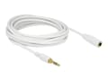 Miniatyrbilde 2 av 5: Delock - Lydforlengelseskabel - mini-phone stereo 3.5 mm hann til mini-phone stereo 3.5 mm hunn - 5 m - hvit