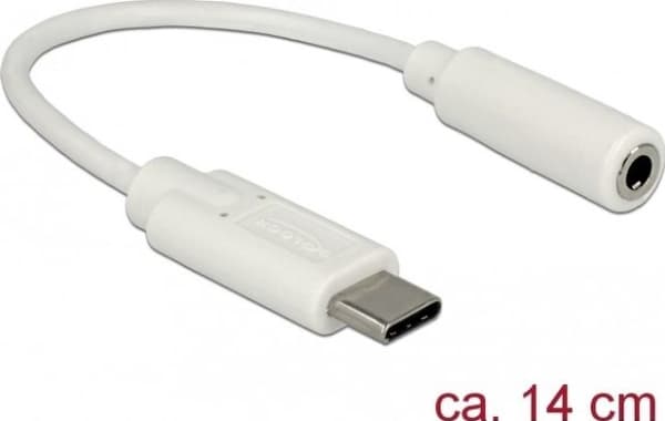 Delock - Lydadapter - USB-C hann til stereo mini-jack hunn - 14 cm - hvit