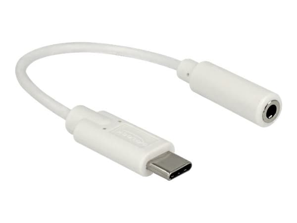 Delock - Lydadapter - USB-C hann til stereo mini-jack hunn - 14 cm - hvit