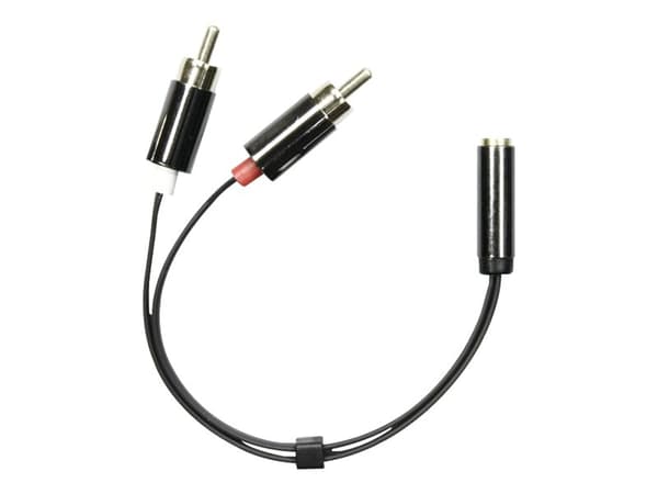 DELTACO AUD-204 - Audioadapter - mini-phone stereo 3.5 mm hunn til RCA x 2 hann - 10 cm - svart