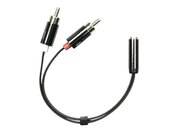 DELTACO AUD-204 - Audioadapter - mini-phone stereo 3.5 mm hunn til RCA x 2 hann - 10 cm - svart