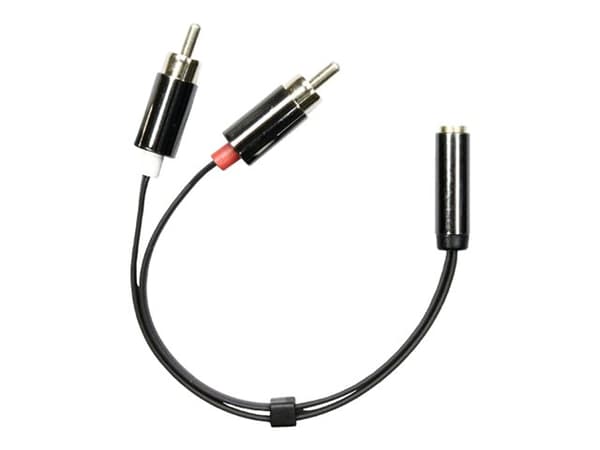 DELTACO AUD-204 - Audioadapter - mini-phone stereo 3.5 mm hunn til RCA x 2 hann - 10 cm - svart