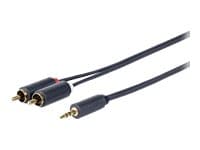 VivoLink - Lydkabel - mini-phone stereo 3.5 mm hann til RCA hann - 1 m - dobbeltisolert
