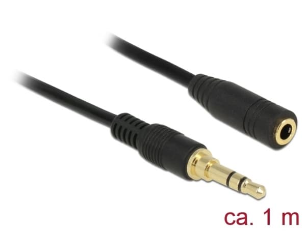 Delock - Lydforlengelseskabel - mini-phone stereo 3.5 mm hann til mini-phone stereo 3.5 mm hunn - 1 m - svart