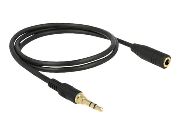 Delock - Lydforlengelseskabel - mini-phone stereo 3.5 mm hann til mini-phone stereo 3.5 mm hunn - 1 m - svart