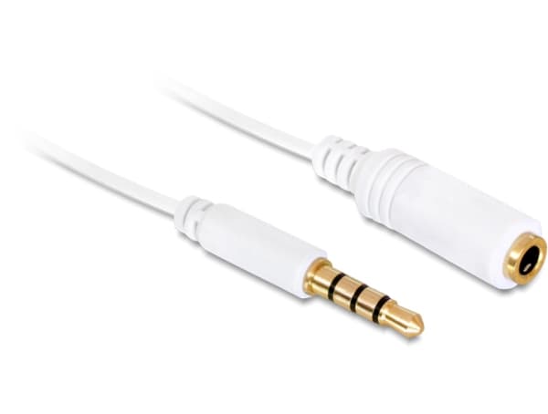 Delock - Lydforlengelseskabel - mini-phone stereo 3.5 mm hunn til mini-phone stereo 3.5 mm hann - 50 cm - hvit