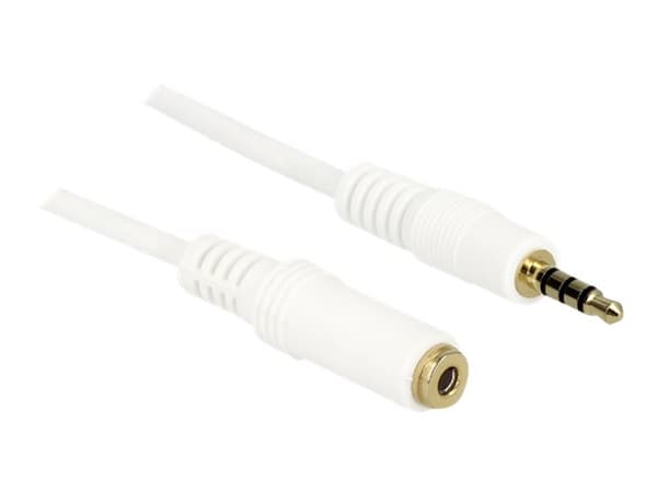 Delock - Lydforlengelseskabel - mini-phone stereo 3.5 mm hunn til mini-phone stereo 3.5 mm hann - 50 cm - hvit