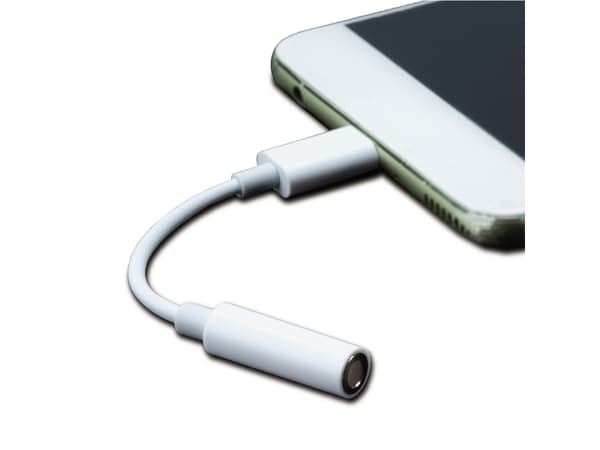 Akasa AK-CBCA27, USB C, Hankjønn, 3.5mm, Hunkjønn, 0,1 m, Hvit