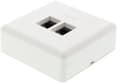 Miniatyrbilde 6 av 6: Wall socket, surface-mounted UTP, 2xRJ45, Cat6, white