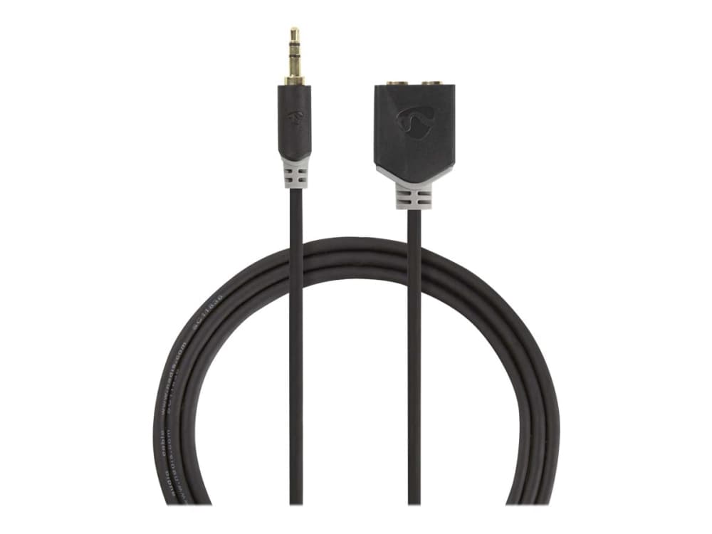 Nedis CABW22100AT02, 3.5mm, 2 x 3.5mm, Kobberkledd aluminium (CCA), Antrasitt