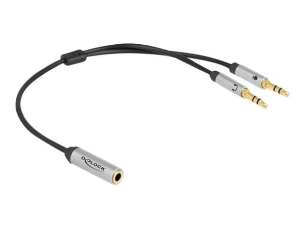Delock - Hodesettadapter - minijakkstereo 3,5 mm 4-pols hunn til mini-phone stereo 3.5 mm hann - 27 cm - svart