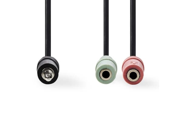 Nedis CAGP22150BK02, 2 x 3.5mm, Hunkjønn, 3.5mm, Hankjønn, 0,2 m, Sort